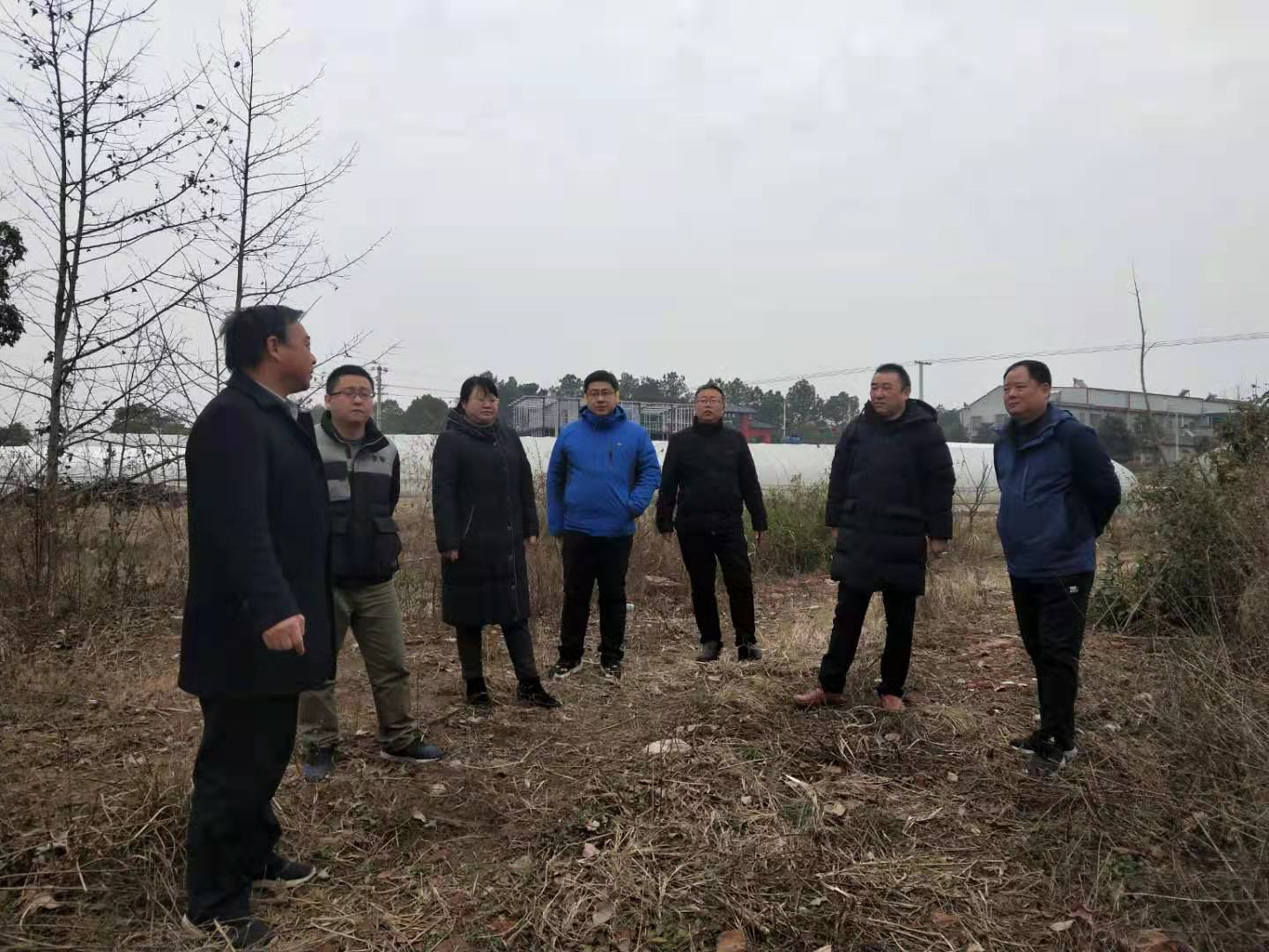文章附圖